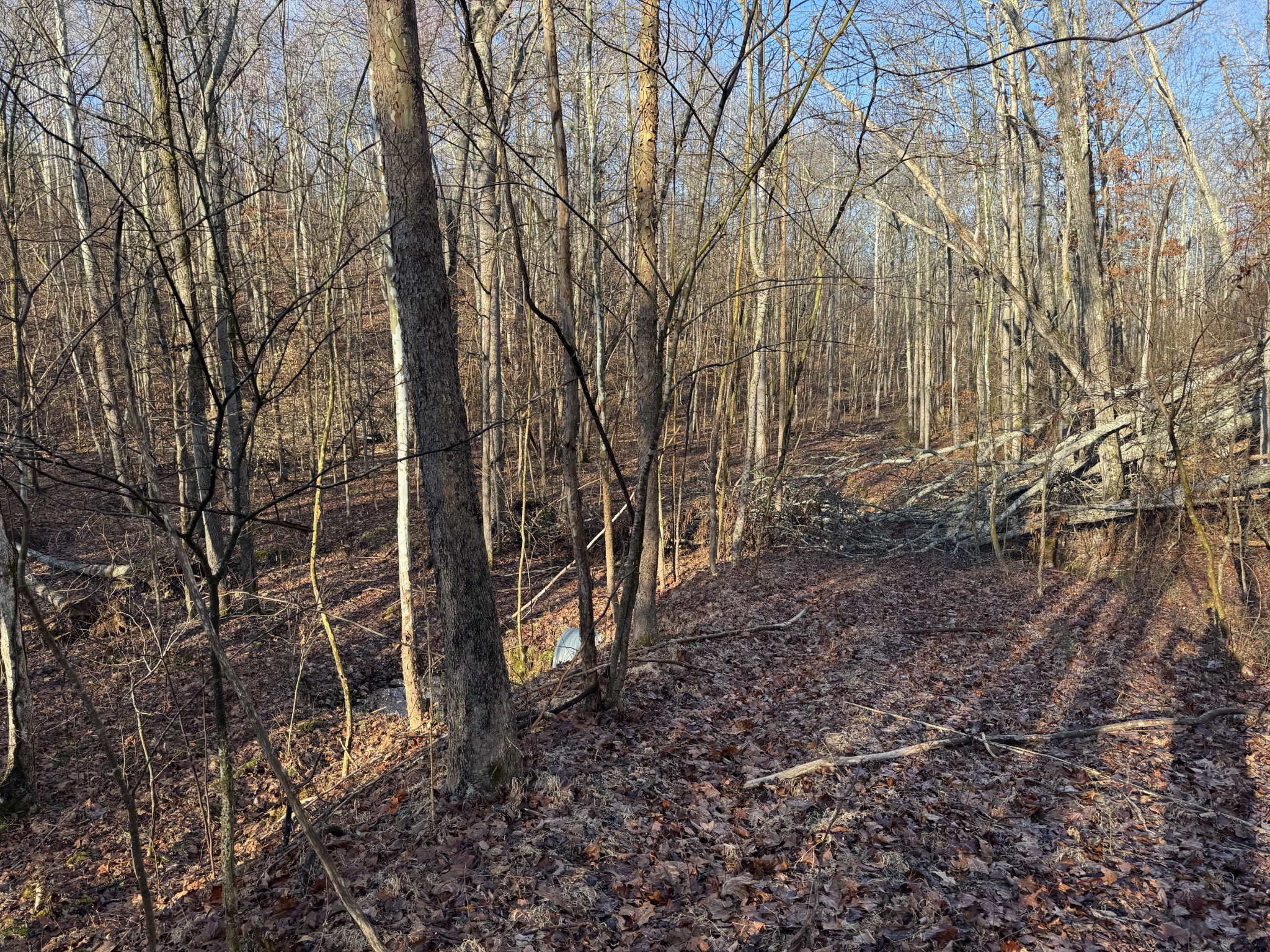 0 Red Fox Run Nunnelly, TN 37137 - Photo 5 of 11 a backyard of a house with lots of green space