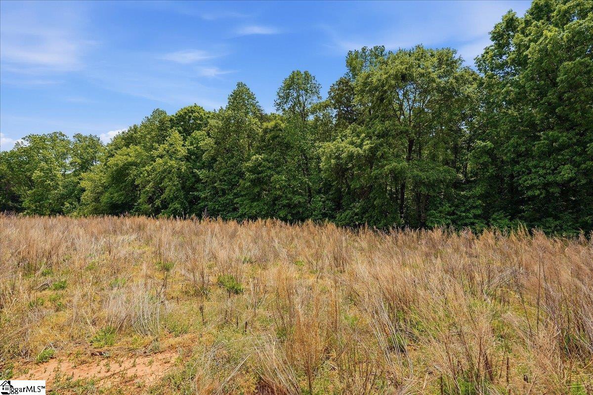 0 Parris Farm Road, Unit LOT 5 Chesnee, SC 29323 - Photo 24 of 26