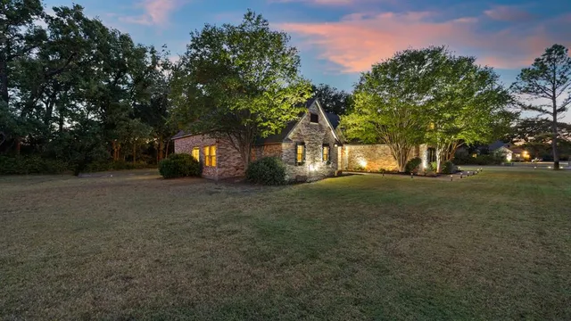 a view of a yard with plants