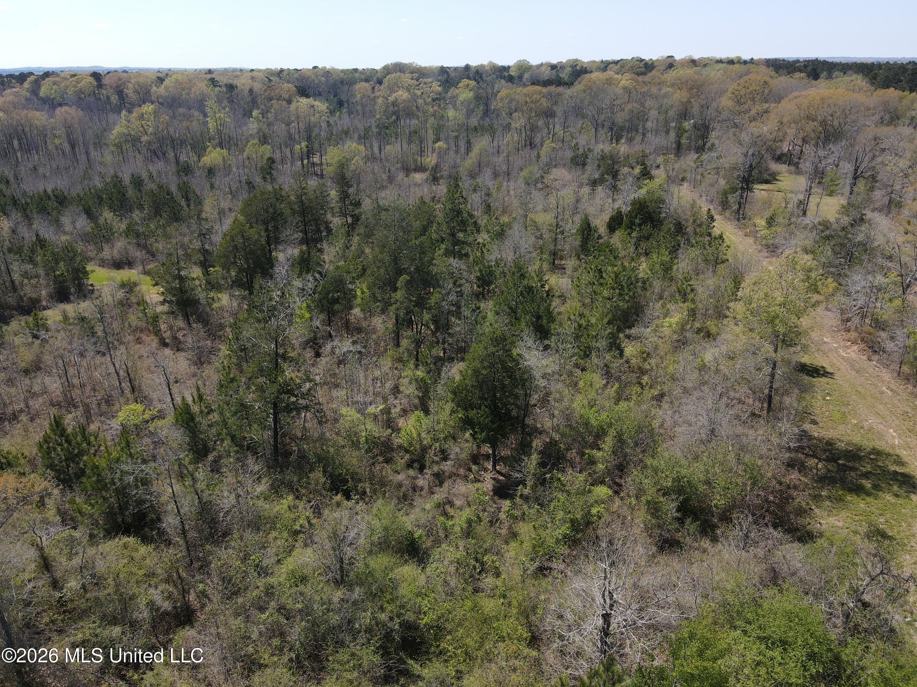 17565 Ms-27 Utica, MS 39175 - Photo 11 of 44 DJI_0544