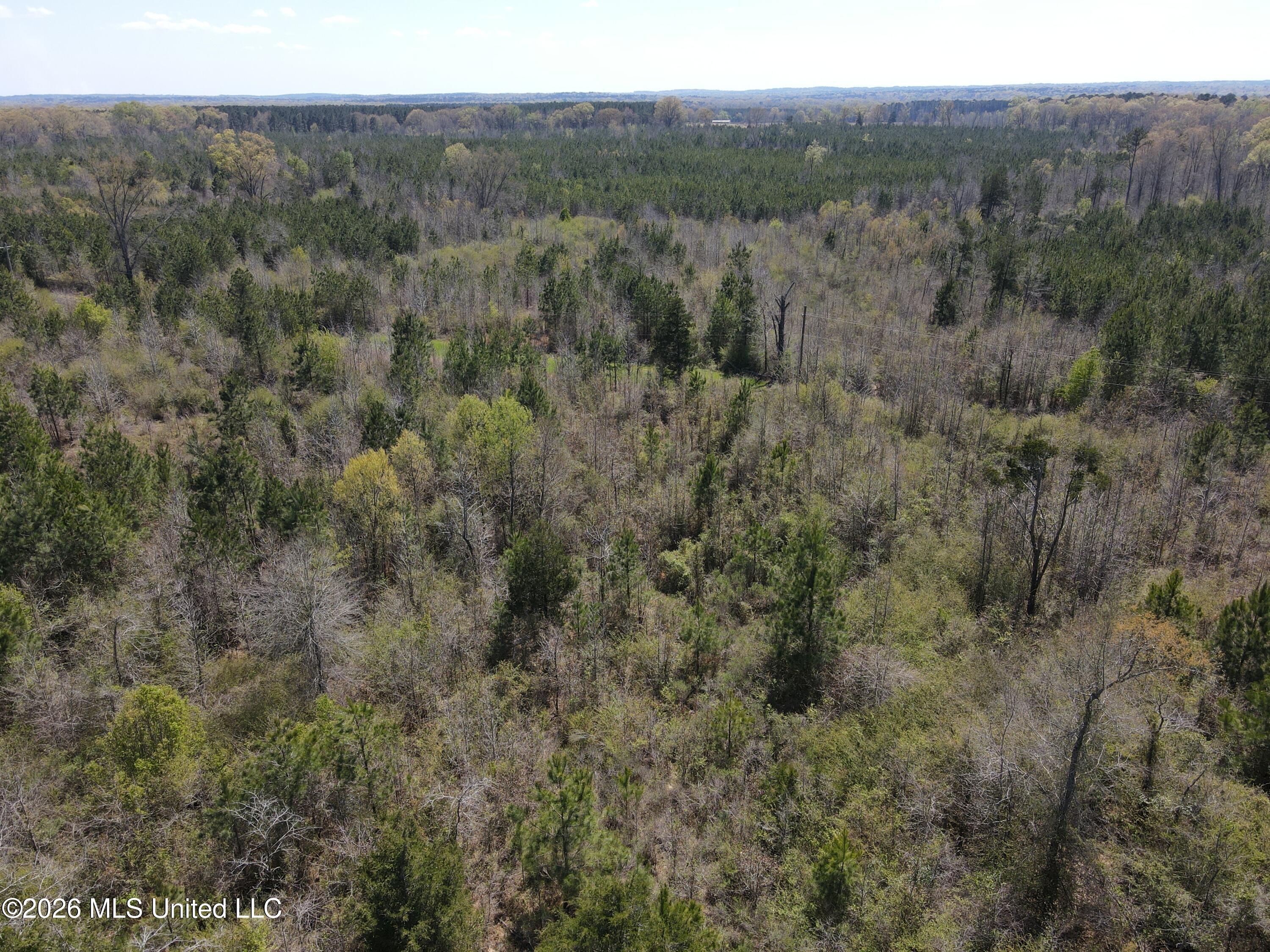 17565 Ms-27 Utica, MS 39175 - Photo 12 of 44 DJI_0545