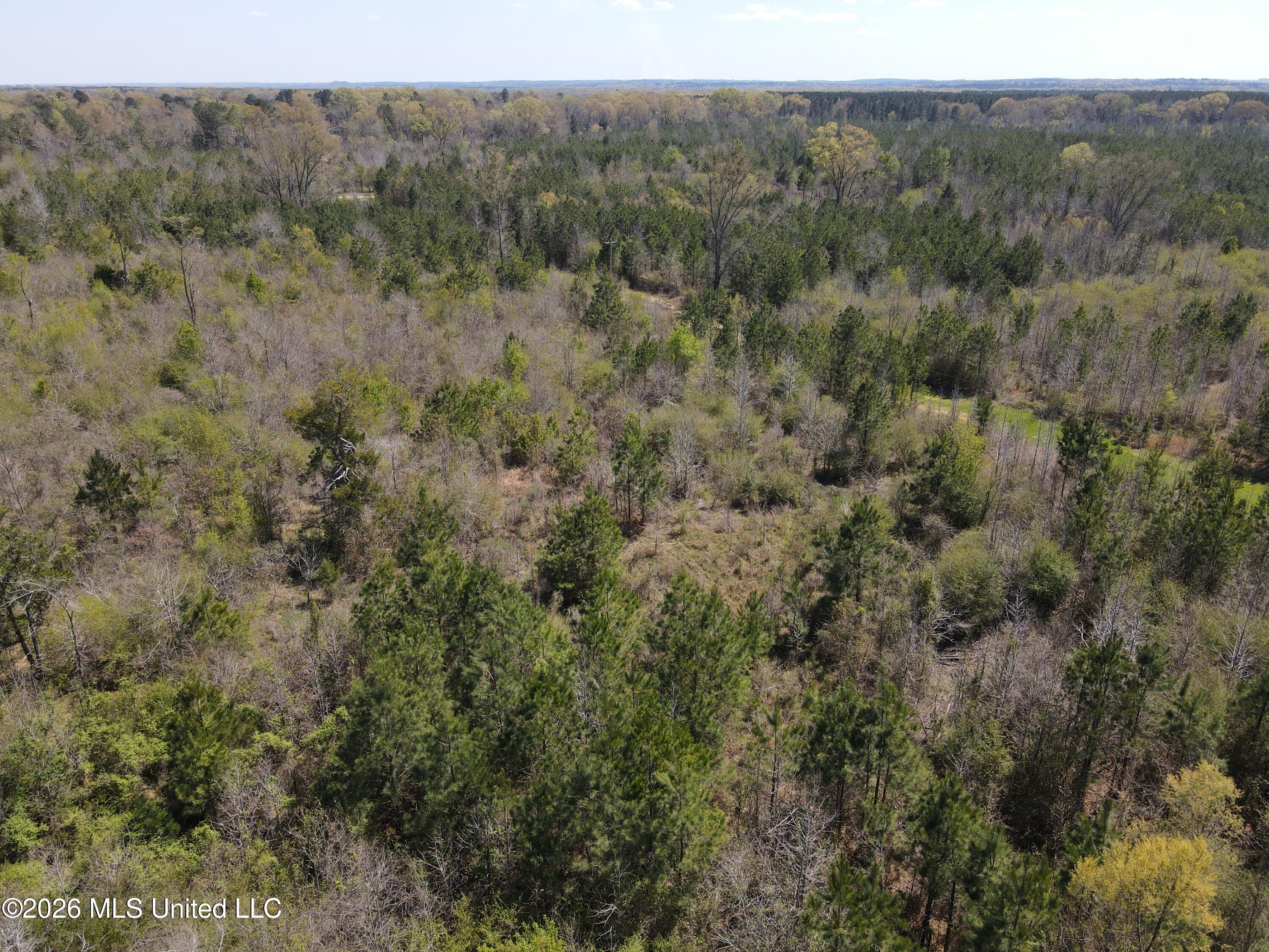 17565 Ms-27 Utica, MS 39175 - Photo 13 of 44 DJI_0546