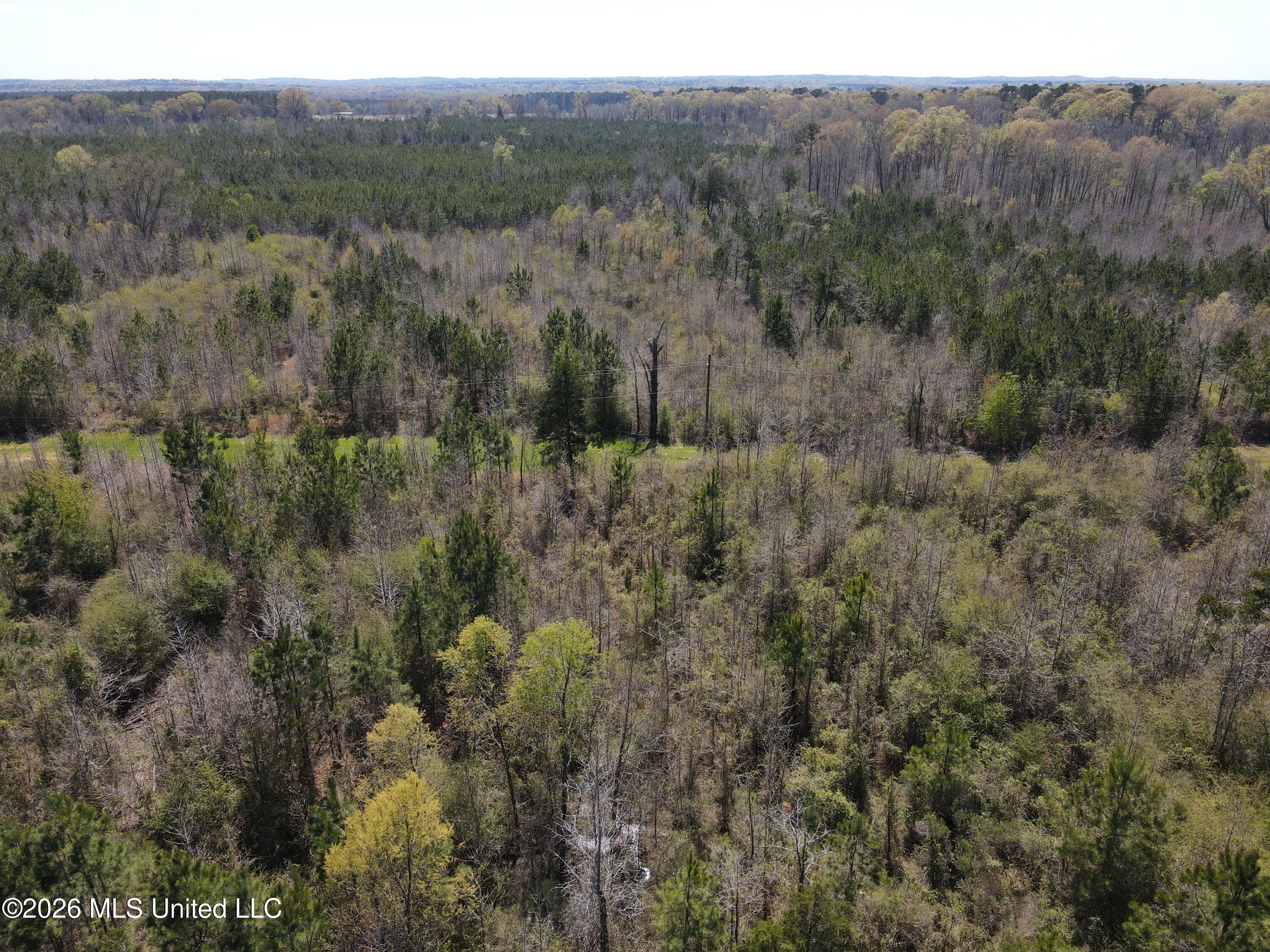 17565 Ms-27 Utica, MS 39175 - Photo 14 of 44 DJI_0547