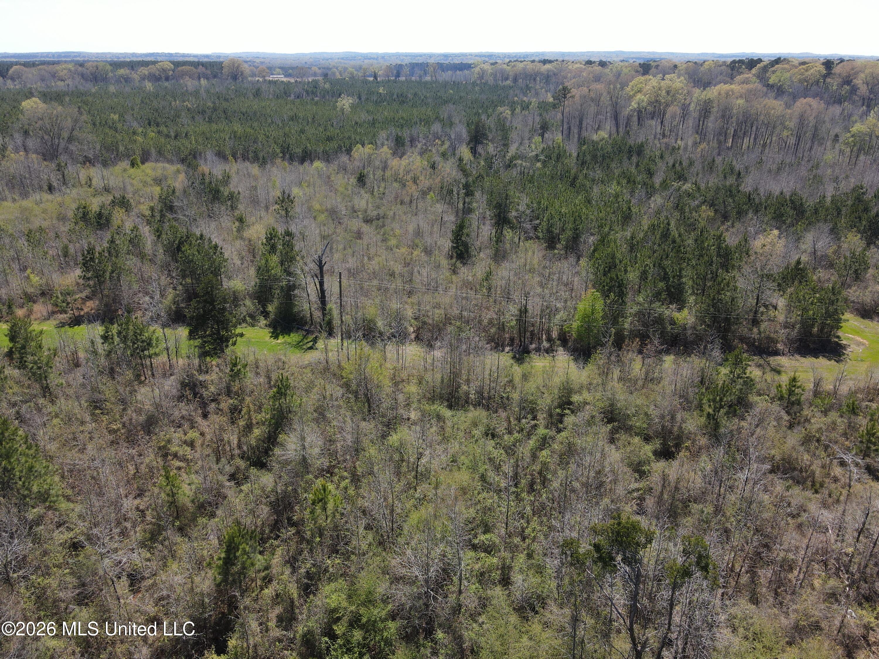 17565 Ms-27 Utica, MS 39175 - Photo 15 of 44 DJI_0548