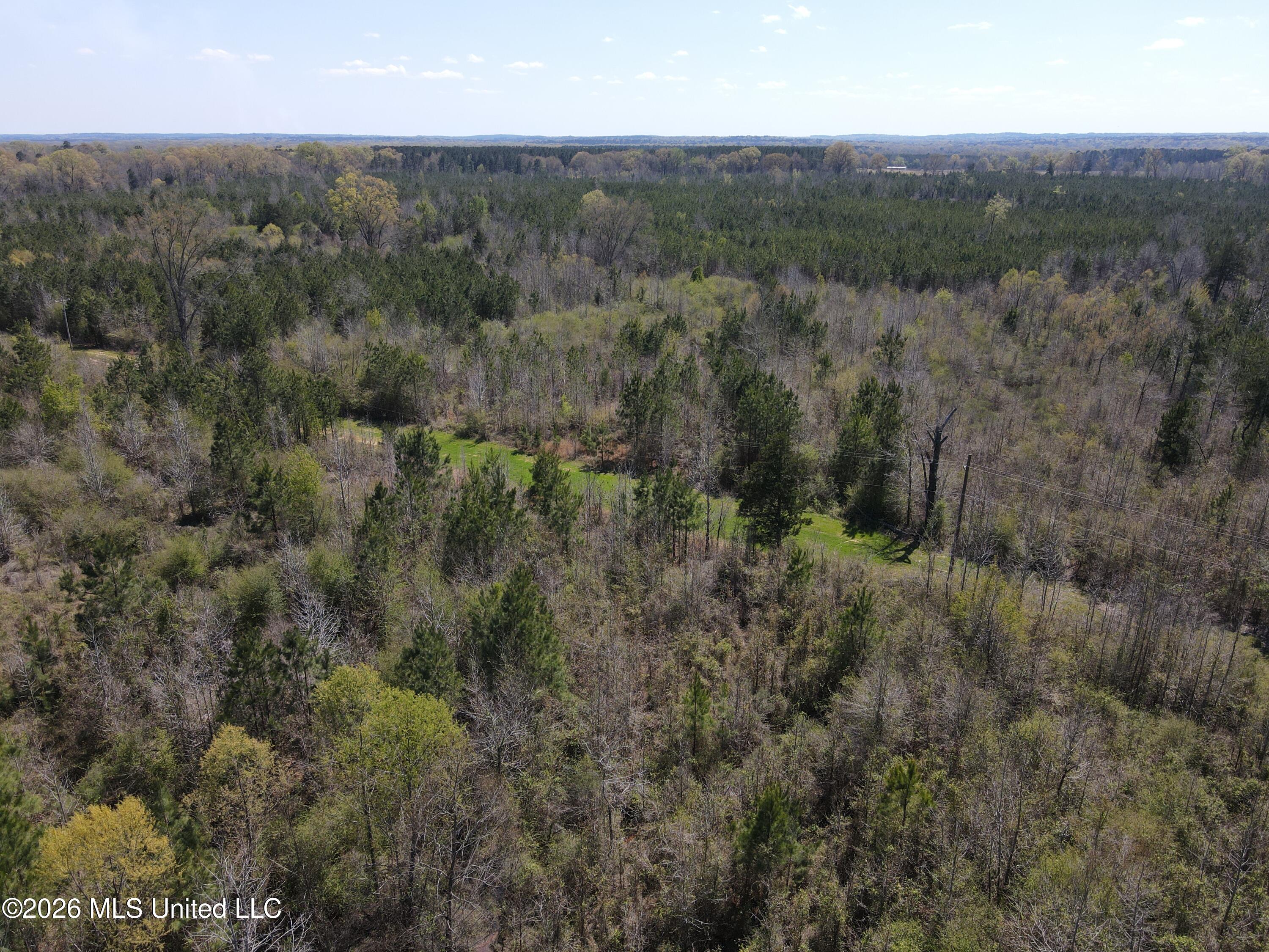 17565 Ms-27 Utica, MS 39175 - Photo 16 of 44 DJI_0549