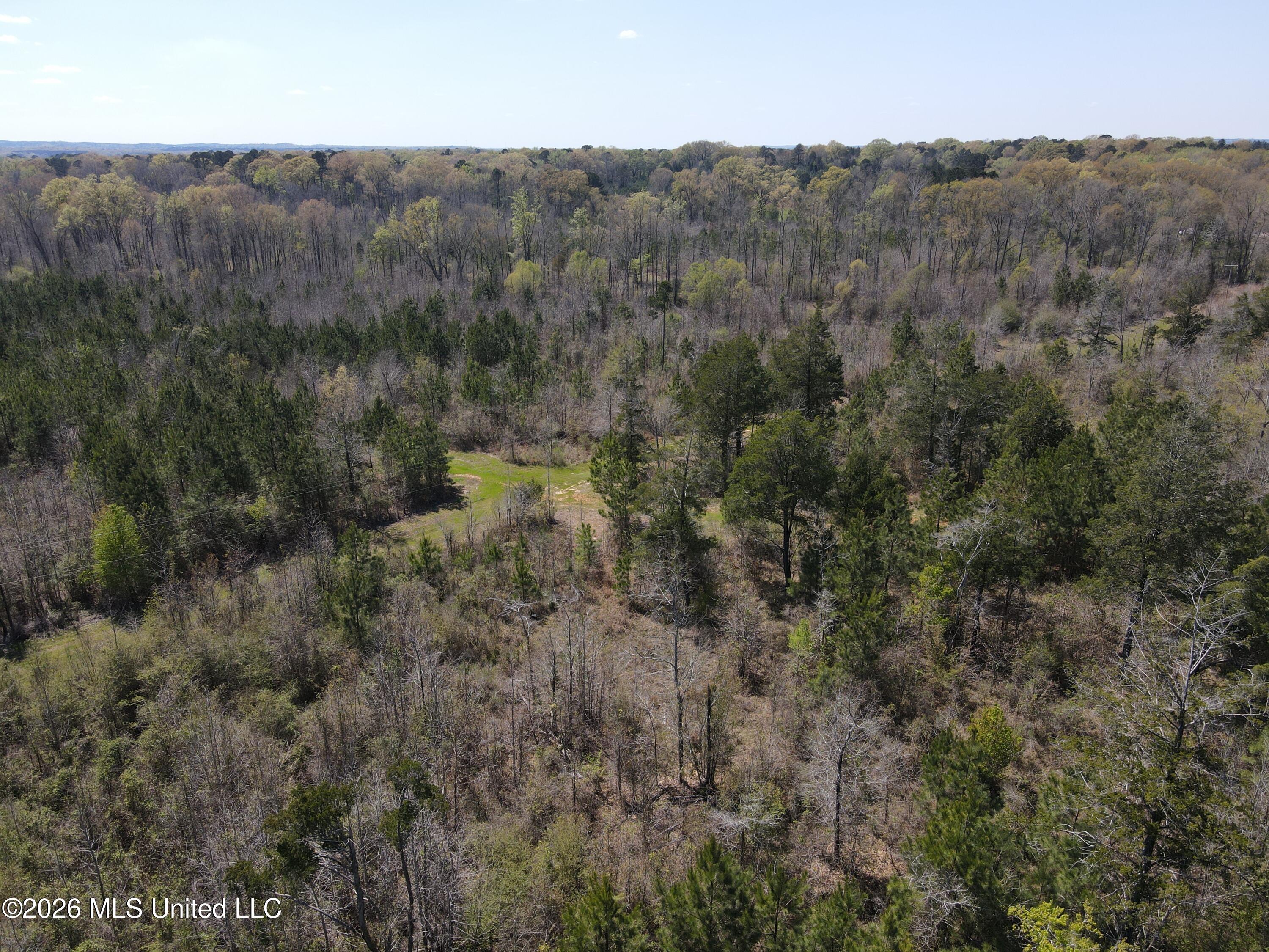 17565 Ms-27 Utica, MS 39175 - Photo 17 of 44 DJI_0550