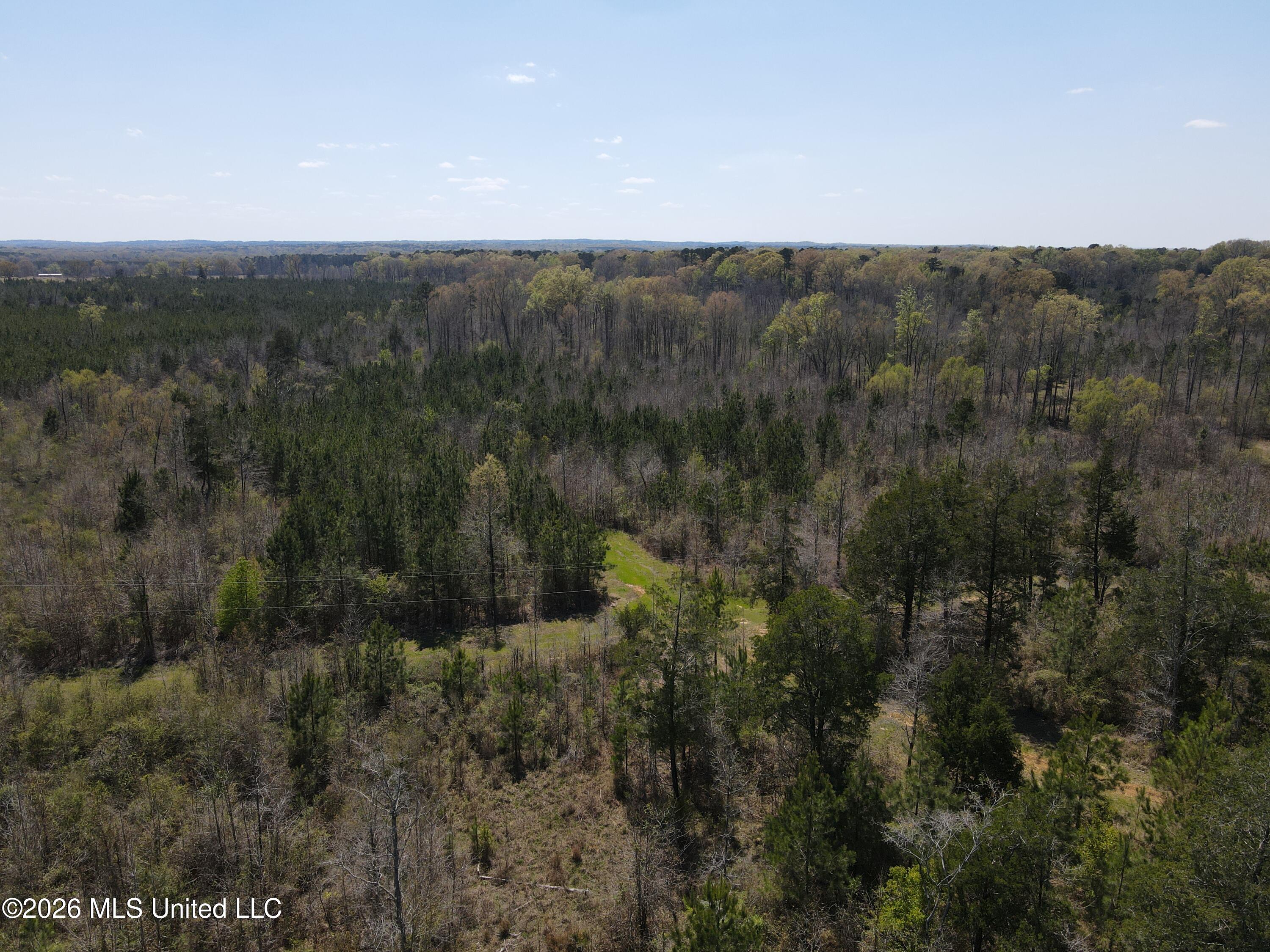 17565 Ms-27 Utica, MS 39175 - Photo 18 of 44 DJI_0551