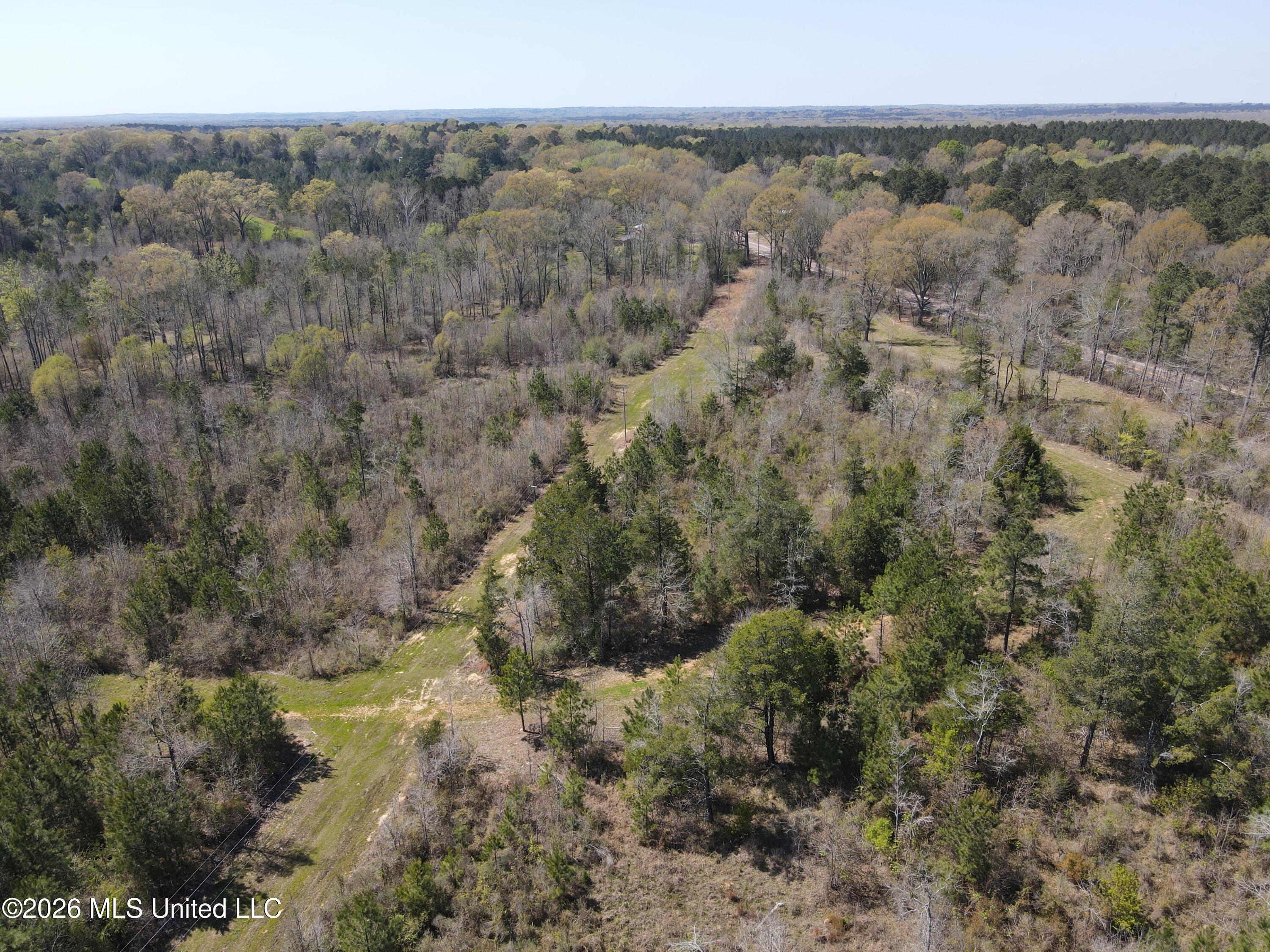 17565 Ms-27 Utica, MS 39175 - Photo 20 of 44 DJI_0553