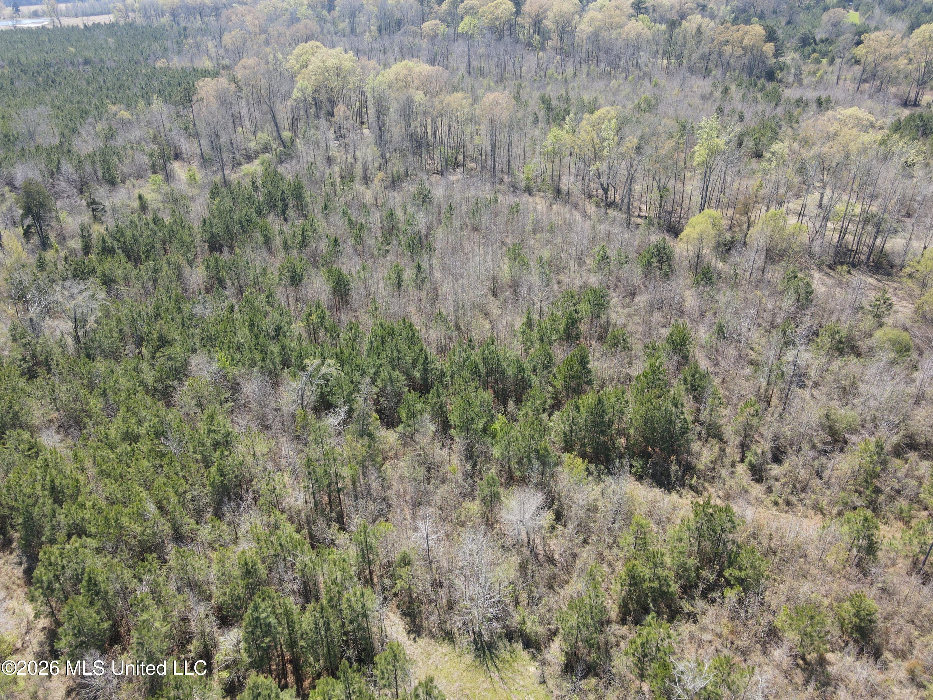 17565 Ms-27 Utica, MS 39175 - Photo 21 of 44 DJI_0554