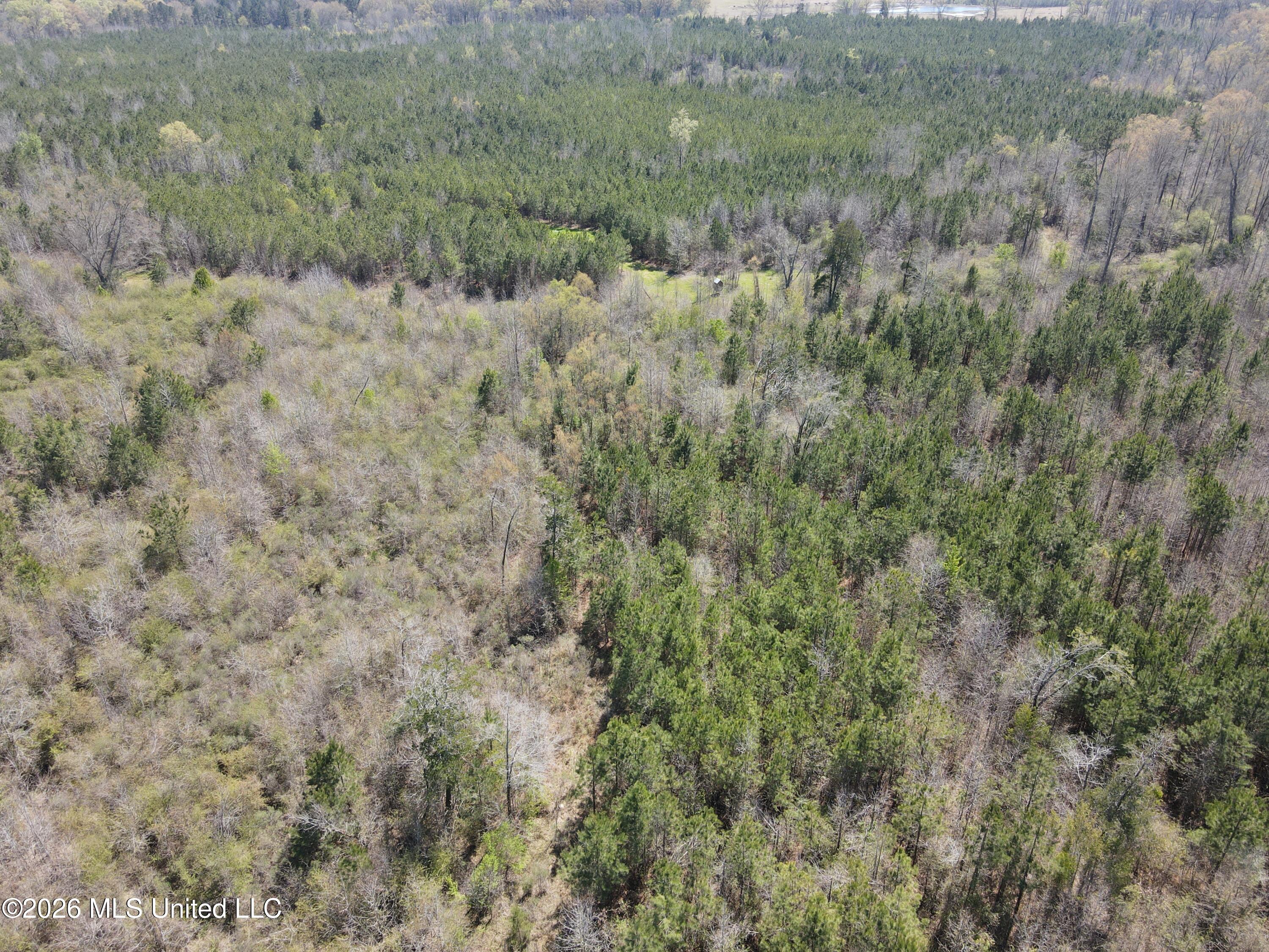 17565 Ms-27 Utica, MS 39175 - Photo 22 of 44 DJI_0555