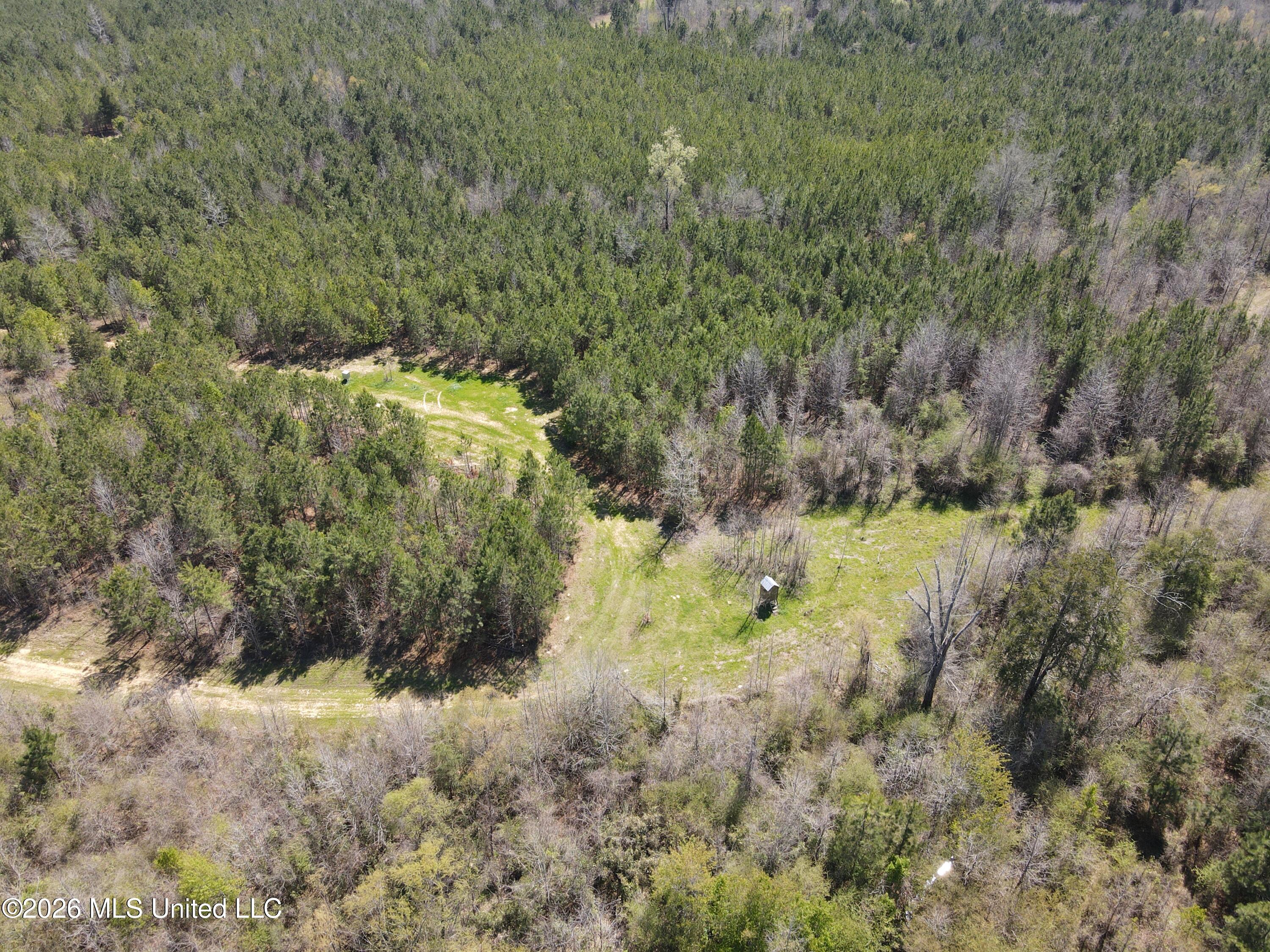 17565 Ms-27 Utica, MS 39175 - Photo 23 of 44 DJI_0556