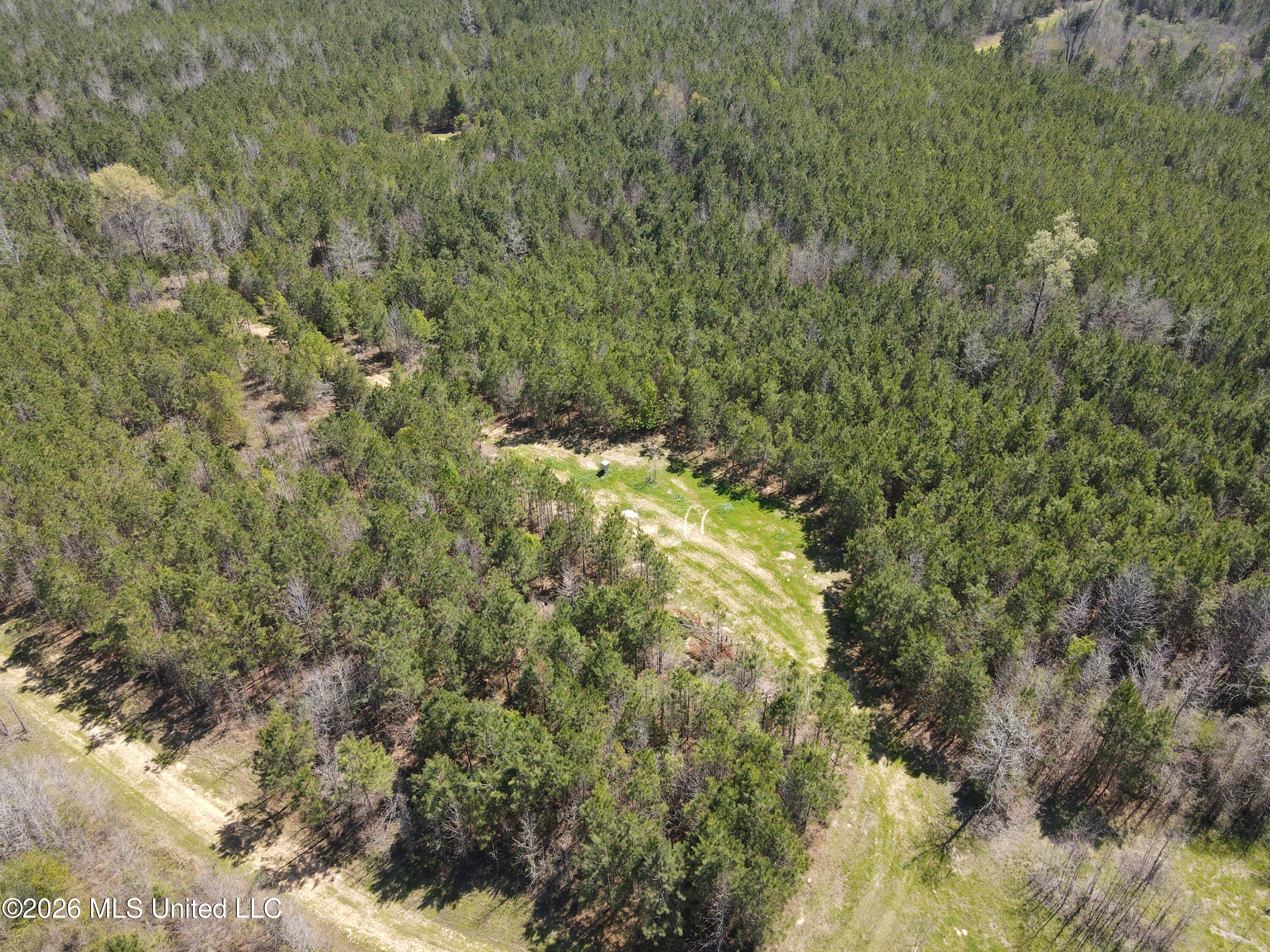 17565 Ms-27 Utica, MS 39175 - Photo 24 of 44 DJI_0557