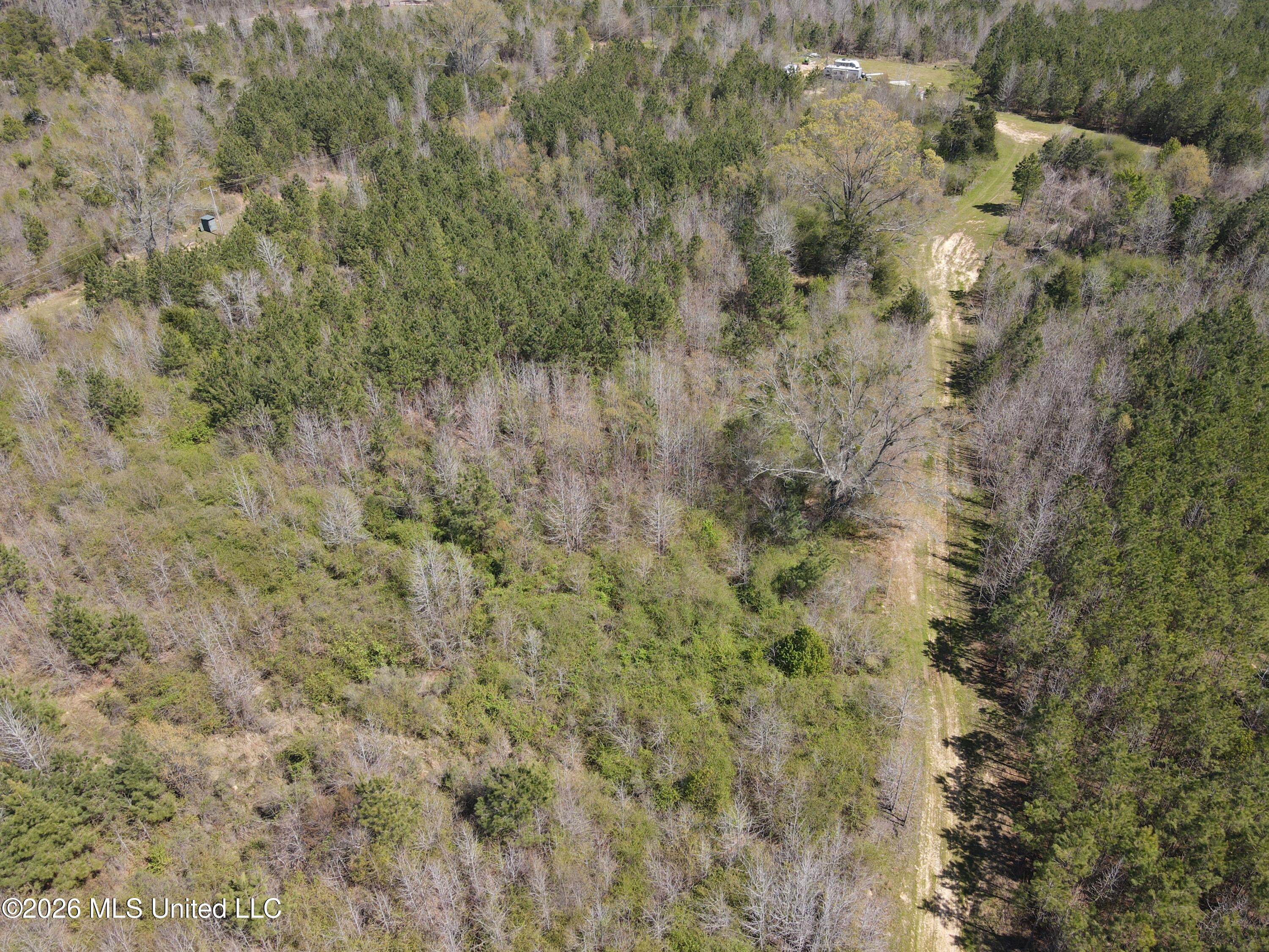 17565 Ms-27 Utica, MS 39175 - Photo 25 of 44 DJI_0558