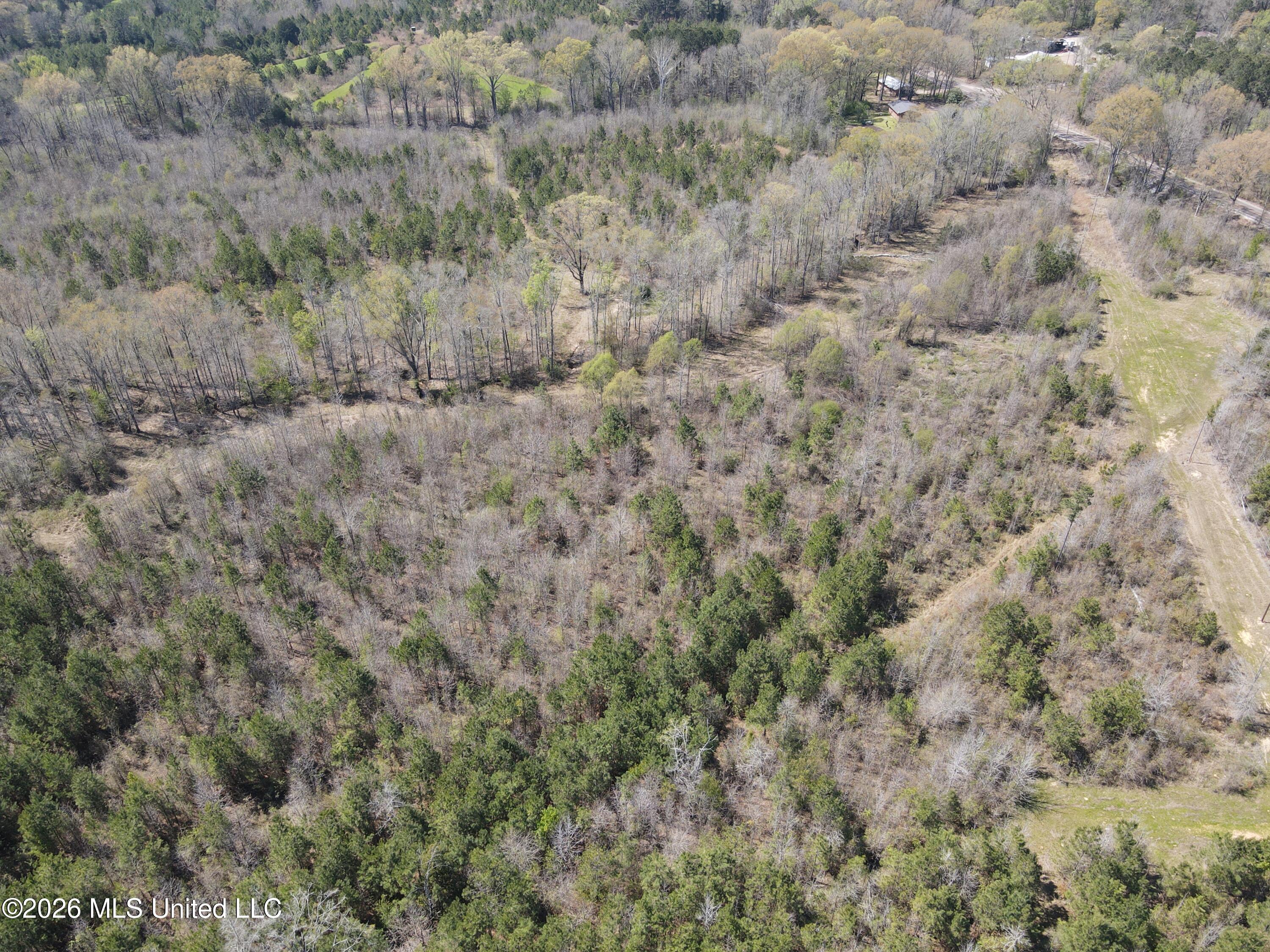 17565 Ms-27 Utica, MS 39175 - Photo 28 of 44 DJI_0561