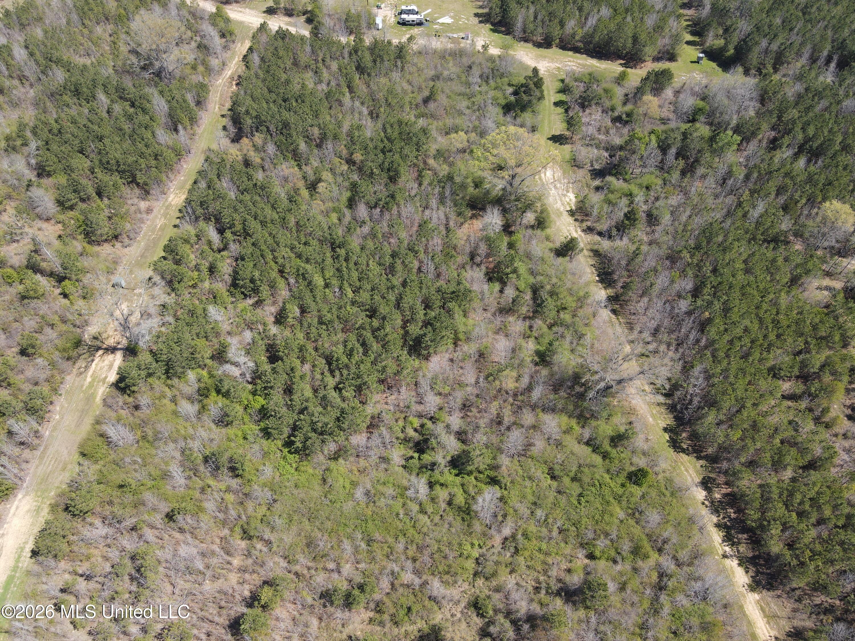 17565 Ms-27 Utica, MS 39175 - Photo 30 of 44 DJI_0563