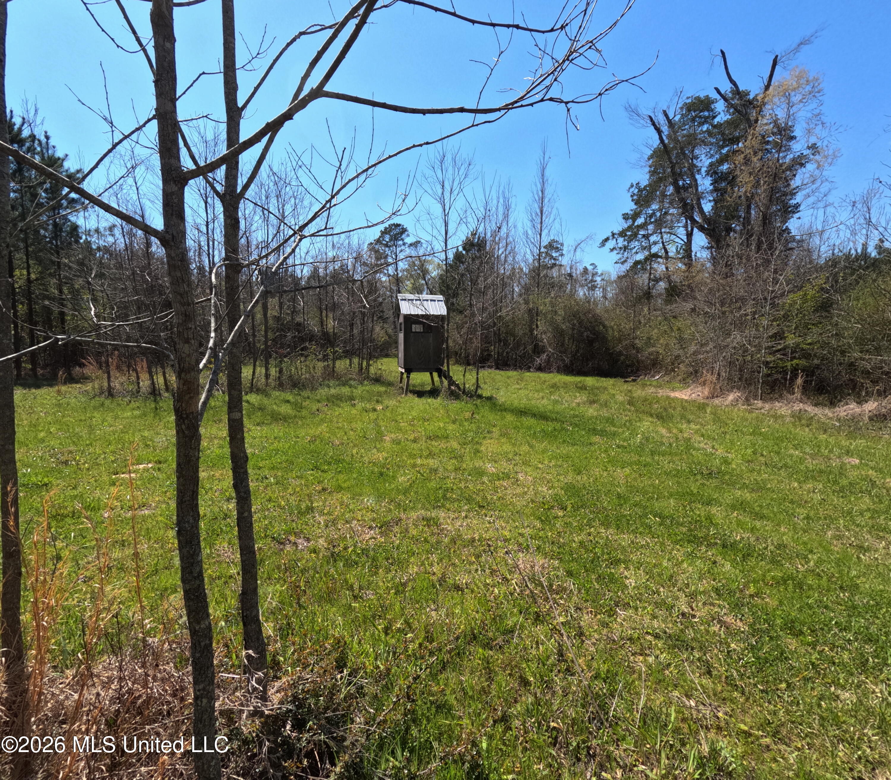 17565 Ms-27 Utica, MS 39175 - Photo 3 of 44 GOPR2169