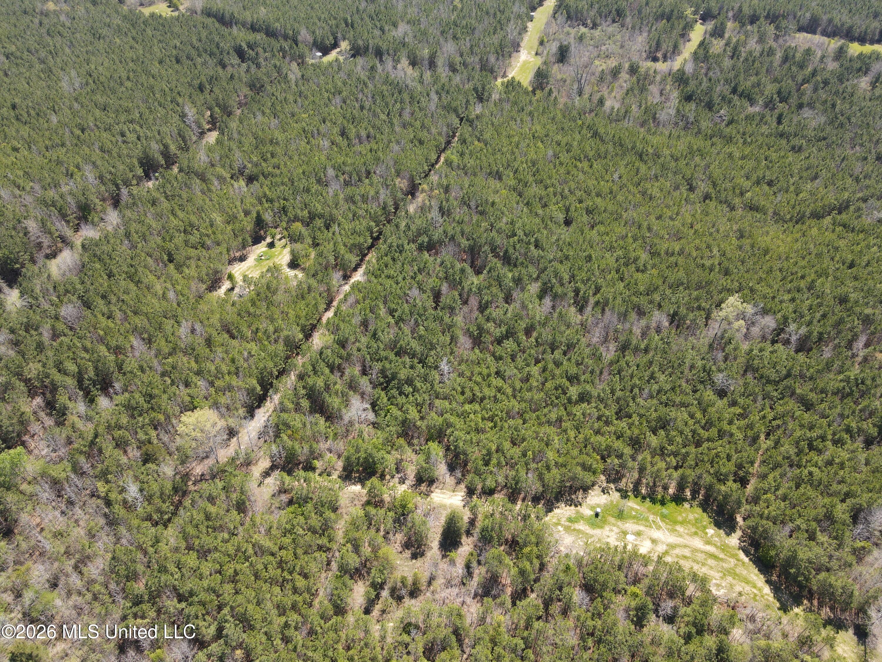 17565 Ms-27 Utica, MS 39175 - Photo 31 of 44 DJI_0564