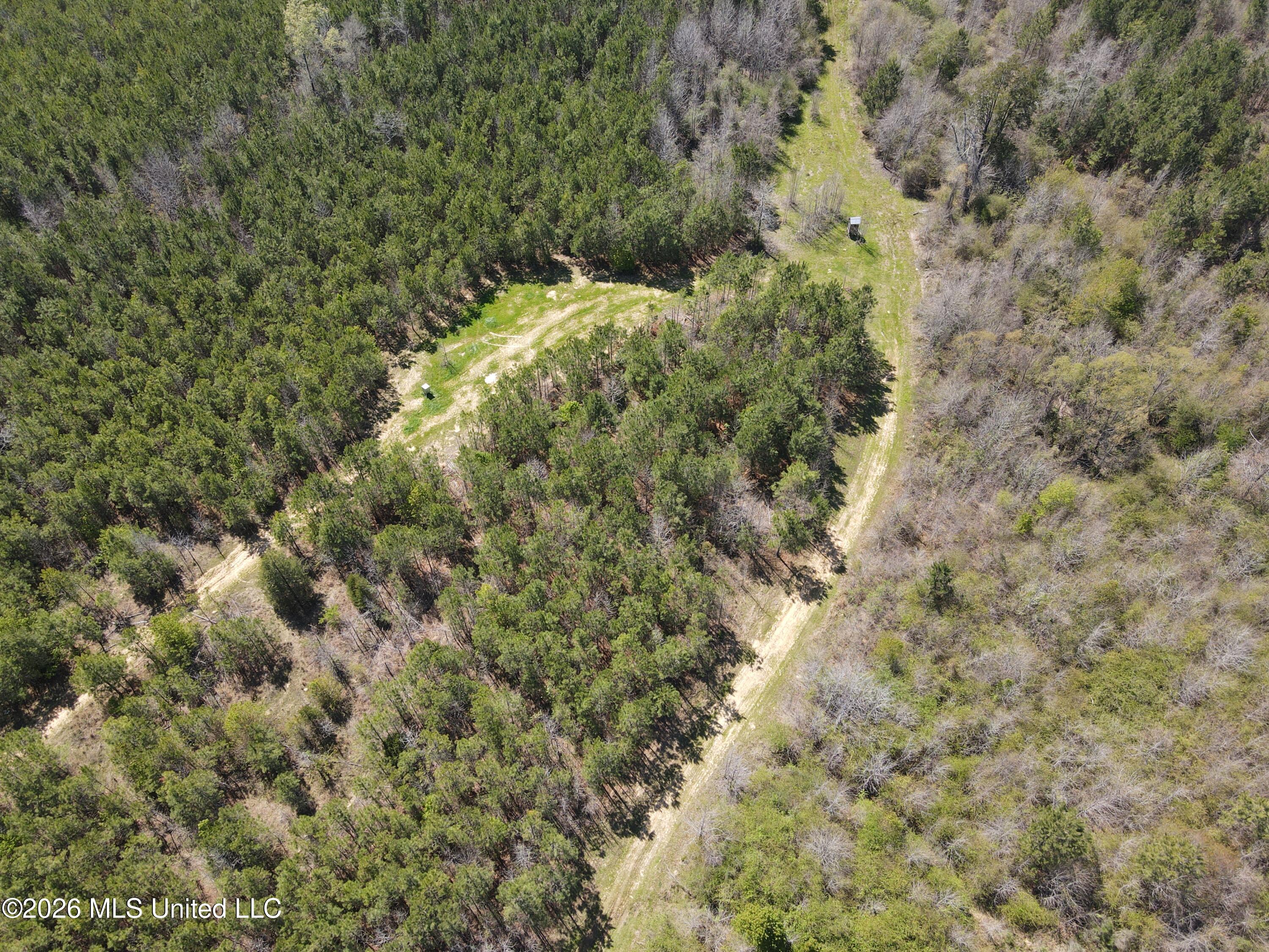 17565 Ms-27 Utica, MS 39175 - Photo 32 of 44 DJI_0565