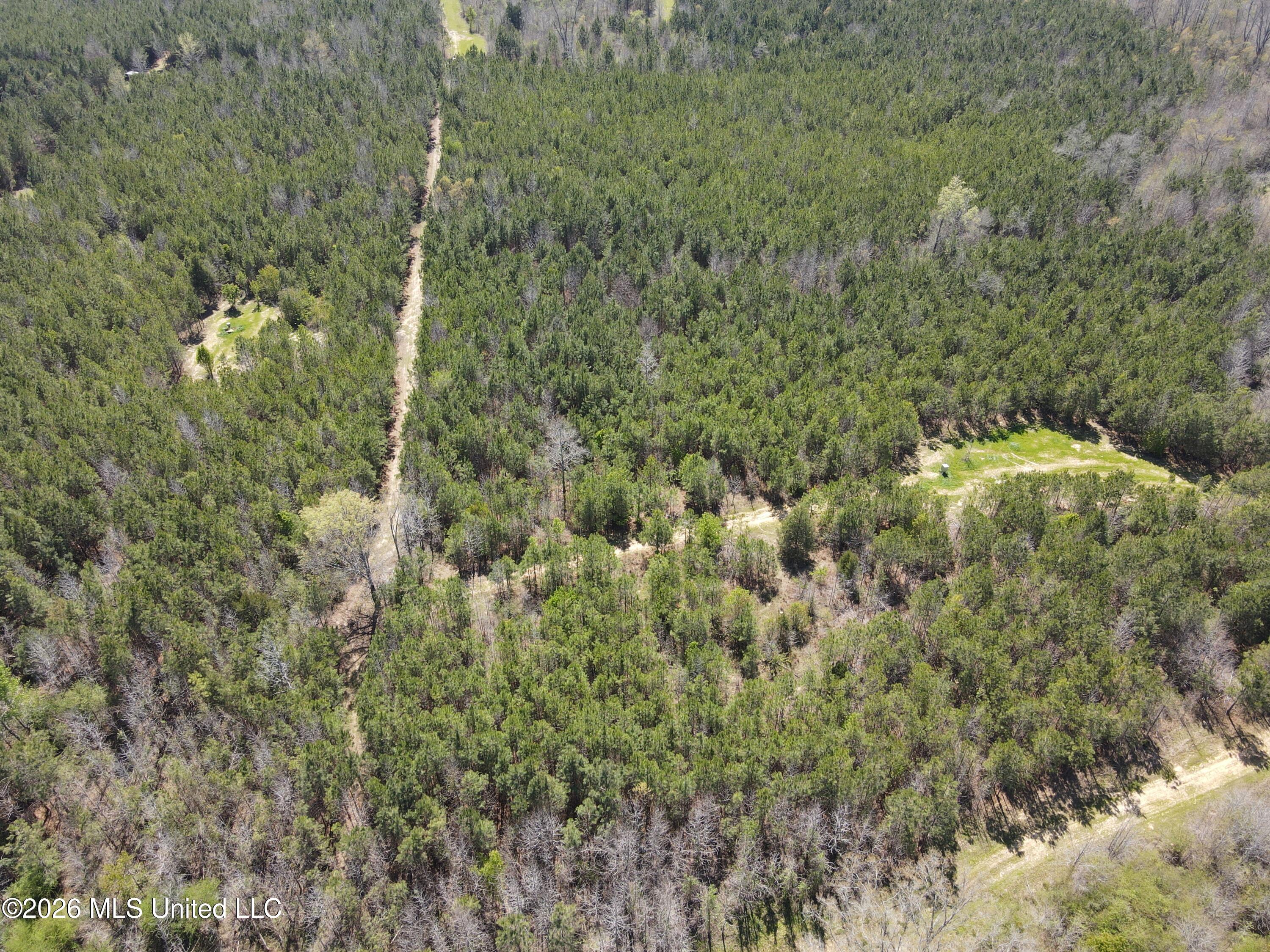 17565 Ms-27 Utica, MS 39175 - Photo 33 of 44 DJI_0566