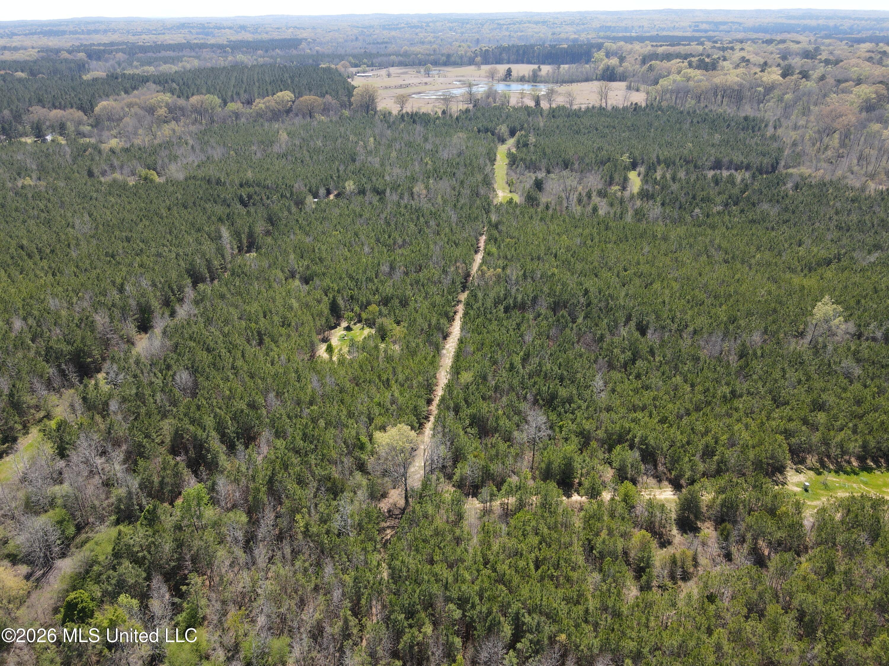 17565 Ms-27 Utica, MS 39175 - Photo 34 of 44 DJI_0567