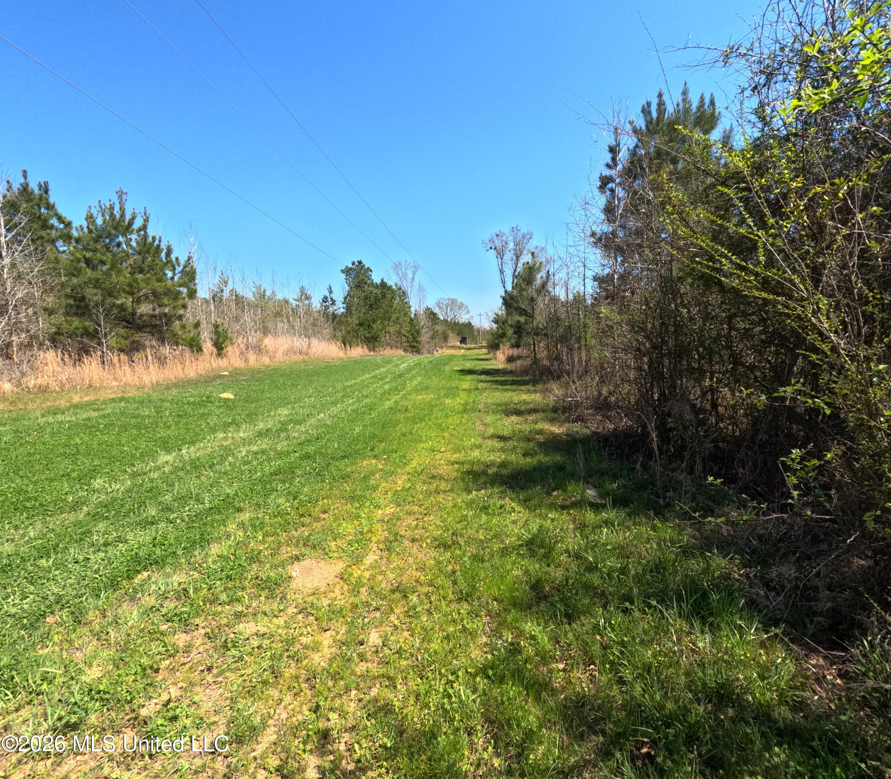 17565 Ms-27 Utica, MS 39175 - Photo 39 of 44 GOPR2162