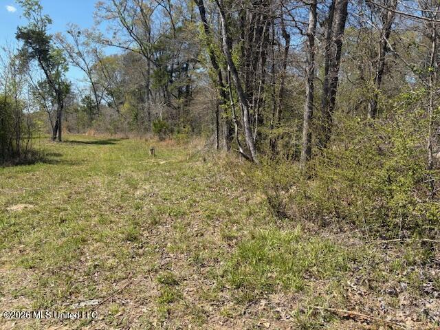 17565 Ms-27 Utica, MS 39175 - Photo 44 of 44 IMG_0451