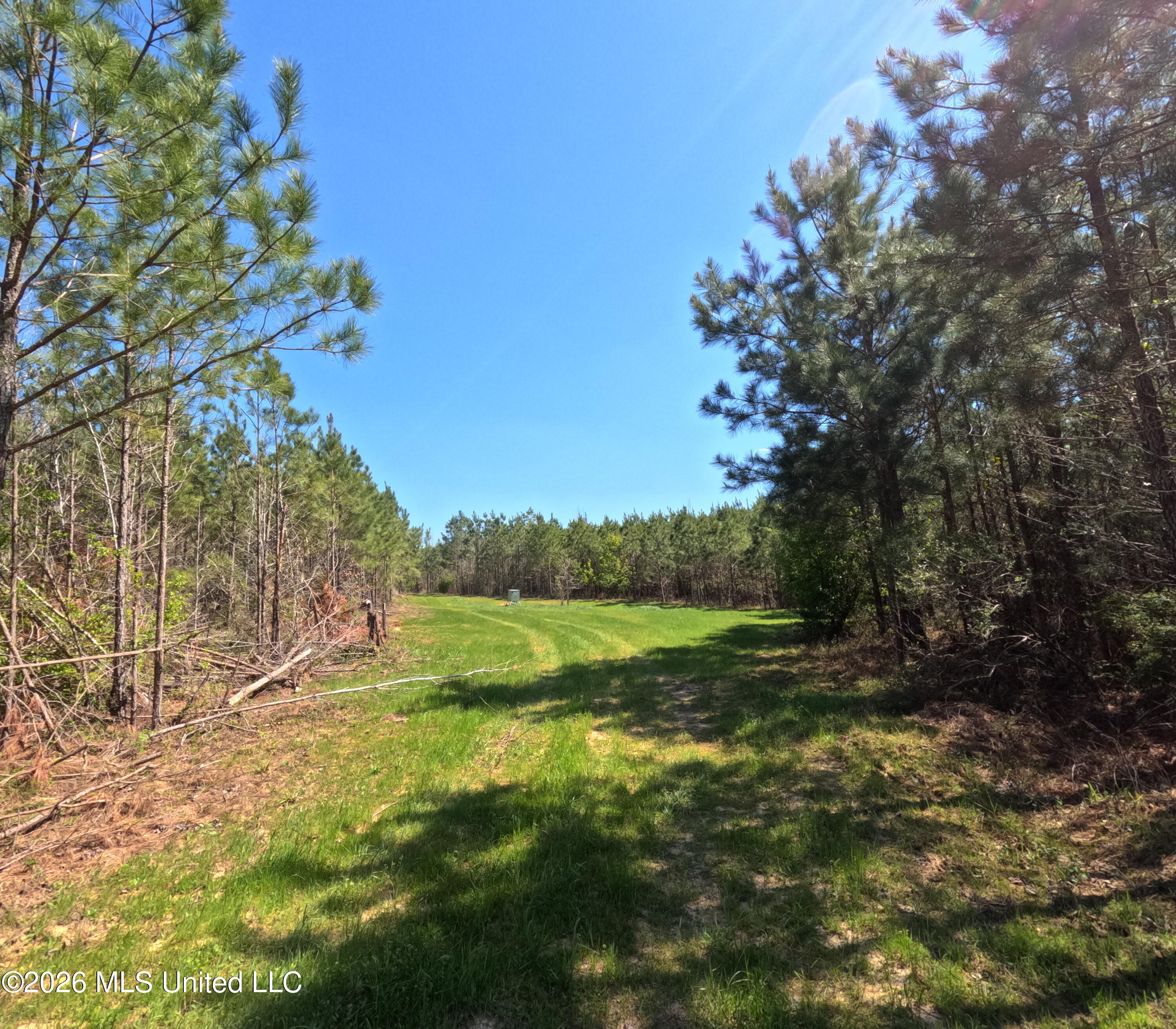 17565 Ms-27 Utica, MS 39175 - Photo 5 of 44 GOPR2171