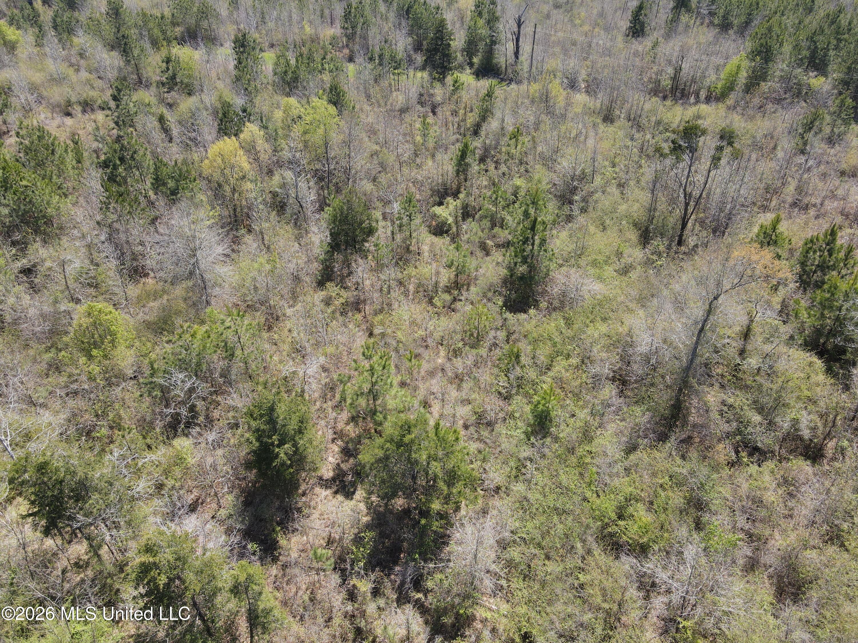 17565 Ms-27 Utica, MS 39175 - Photo 9 of 44 DJI_0542