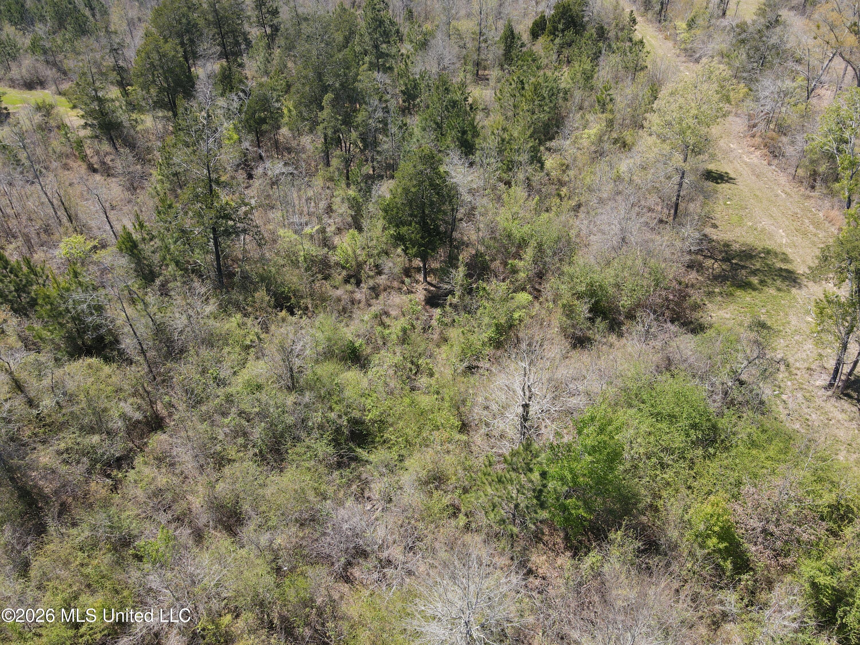 17565 Ms-27 Utica, MS 39175 - Photo 10 of 44 DJI_0543