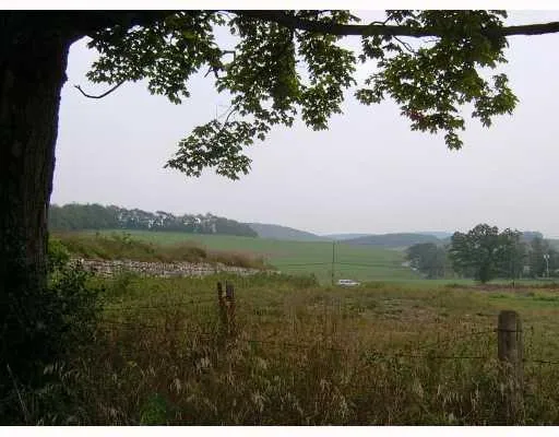 a view of a lake with a mountain
