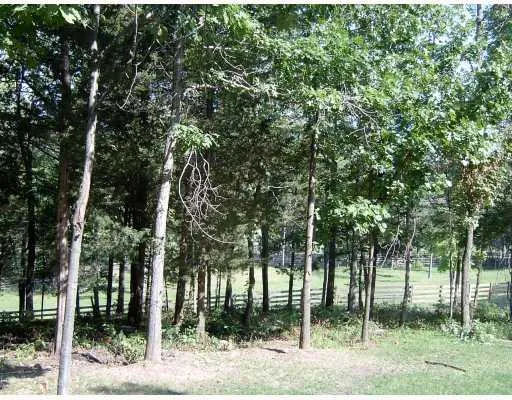 a view of a backyard of a house