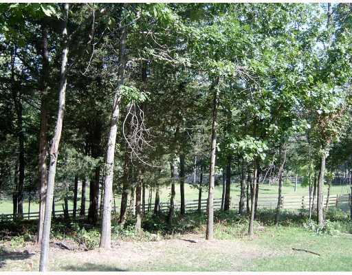 36 Taylor Road Warwick, NY 10990 - Photo 4 of 8 a view of a backyard of a house