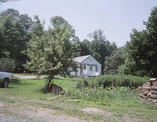 a view of a field with a tree in the background