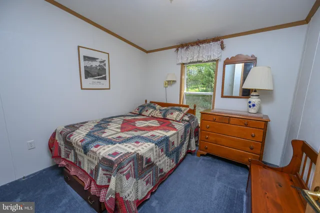 a view of a yard with an outdoor space