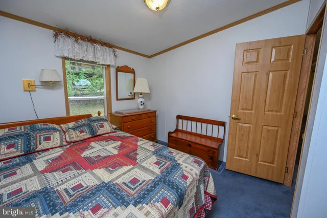 a big yard with trees