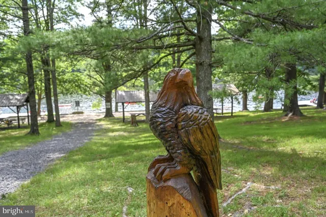 a view of a park with large trees