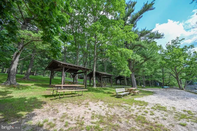 a view of a pathway both side of grassy field with shrub