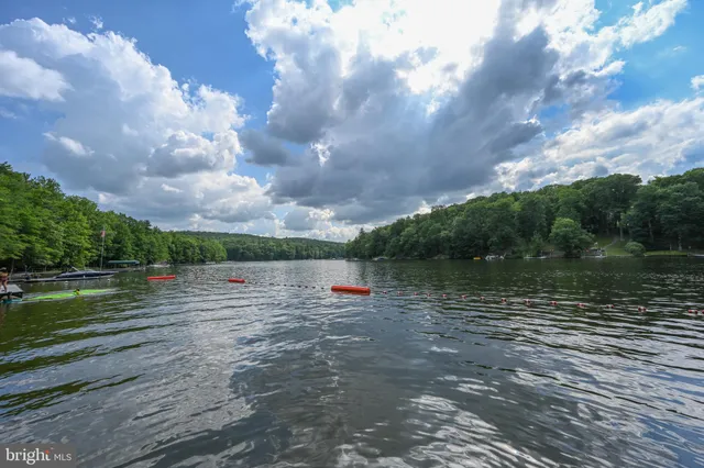 a view of a park with iron fence