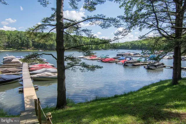 a view of a chair and table in the backyard