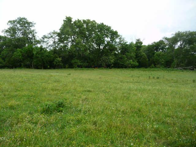 2 Northwest Rutland Road Mount Juliet, TN 37122 - Photo 4 of 9 View from home site to front of lot and creek.