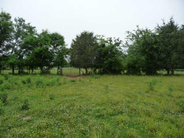 2 Northwest Rutland Road Mount Juliet, TN 37122 - Photo 5 of 9 View from home site to back fenced area.
