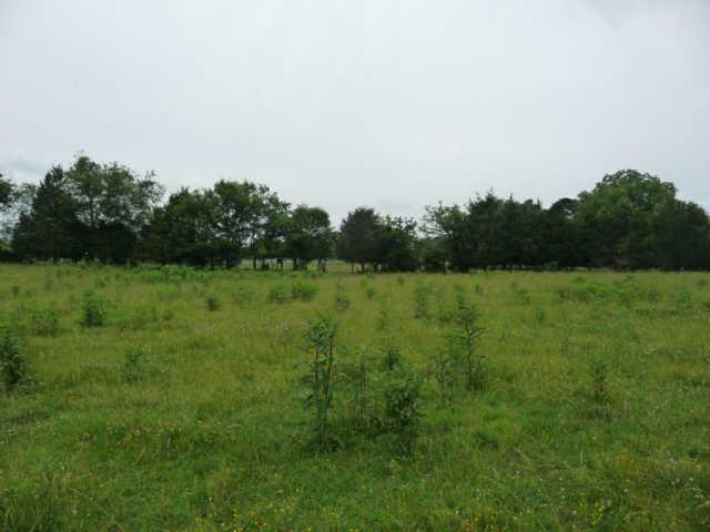 2 Northwest Rutland Road Mount Juliet, TN 37122 - Photo 8 of 9 View to side from homesite.