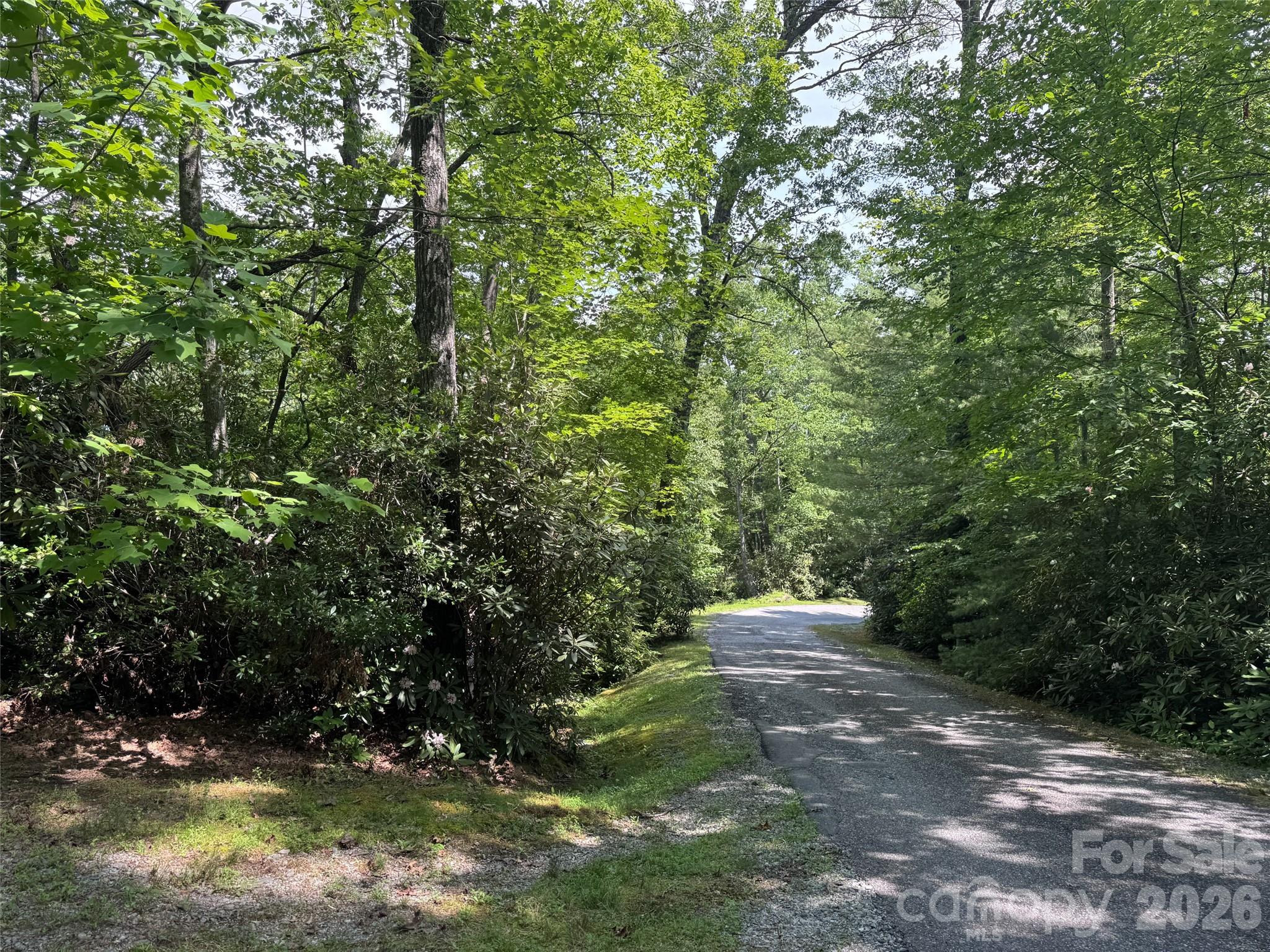 10 A Reserve Road Pisgah Forest, NC 28768 - Photo 30 of 33
