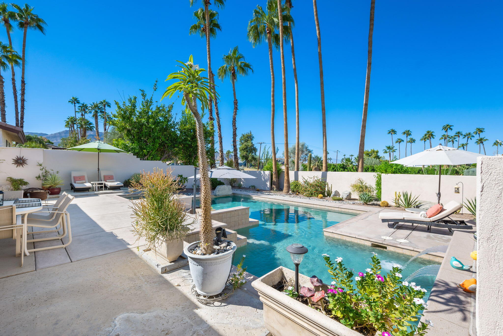 73535 Haystack Road Palm Desert, CA 92260 - Photo 11 of 47 a view of a backyard with plants and patio