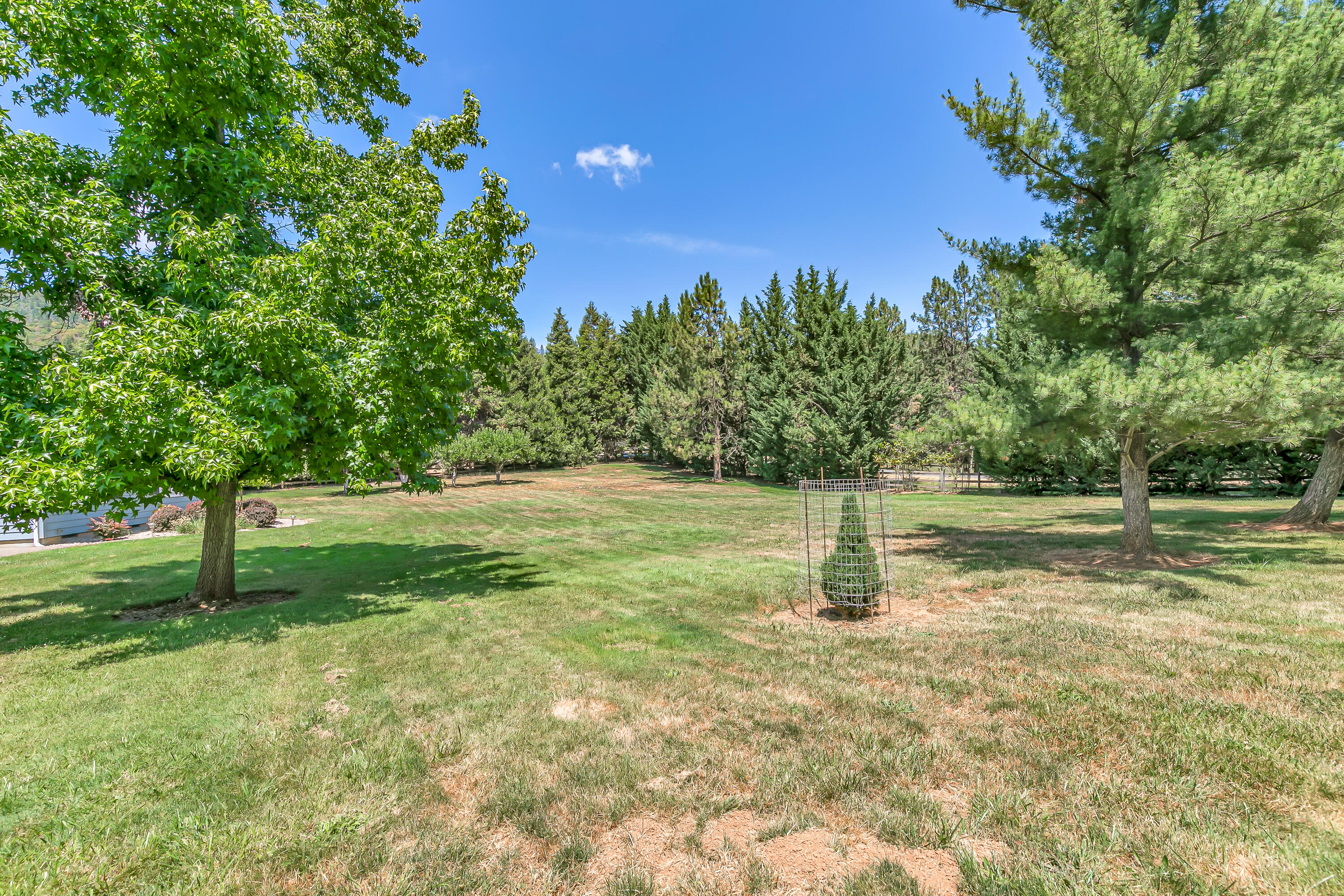 550 Pair A Dice Ranch Road Jacksonville, OR 97530 - Photo 53 of 83 9R9A9230