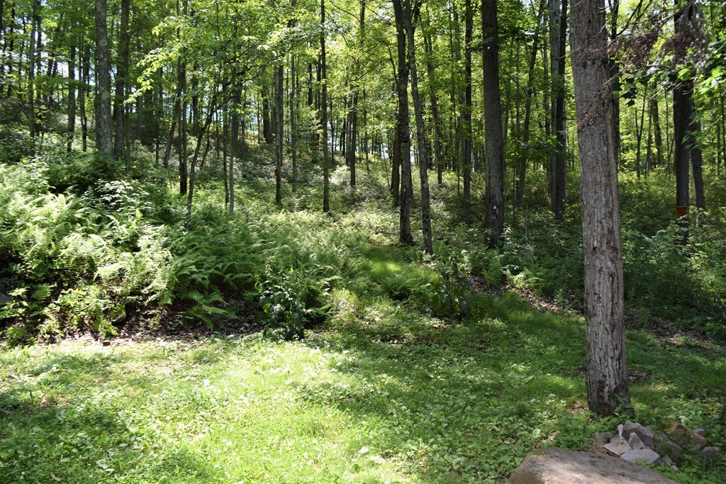 272 Shin Hollow Road Gaines, PA 16921 - Photo 32 of 35 Gallery Image 32