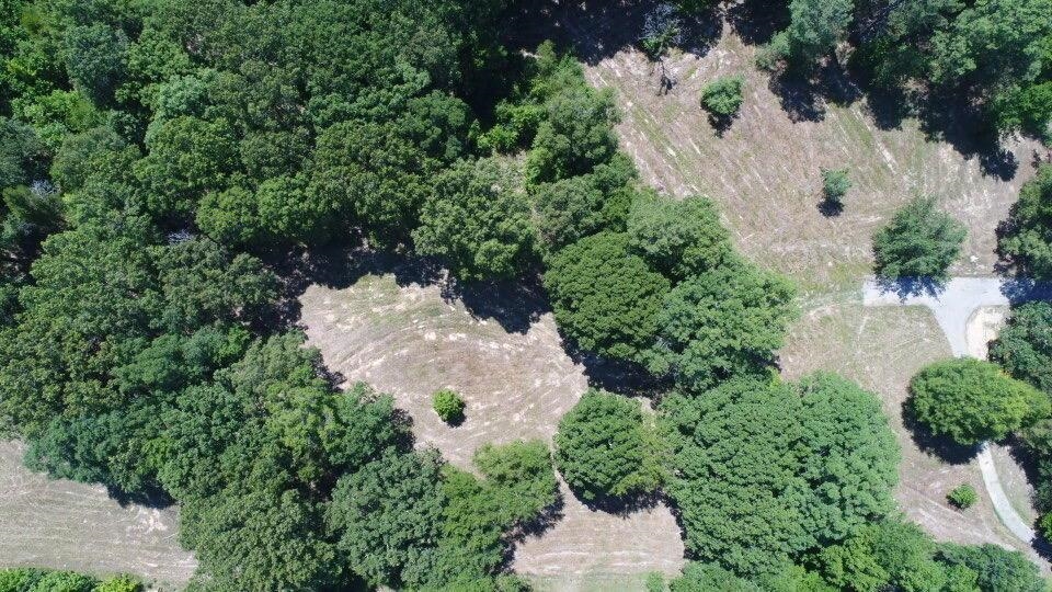 11167 Monterey Road Eads, TN 38028 - Photo 3 of 3 an aerial view of a house with a yard and greenery