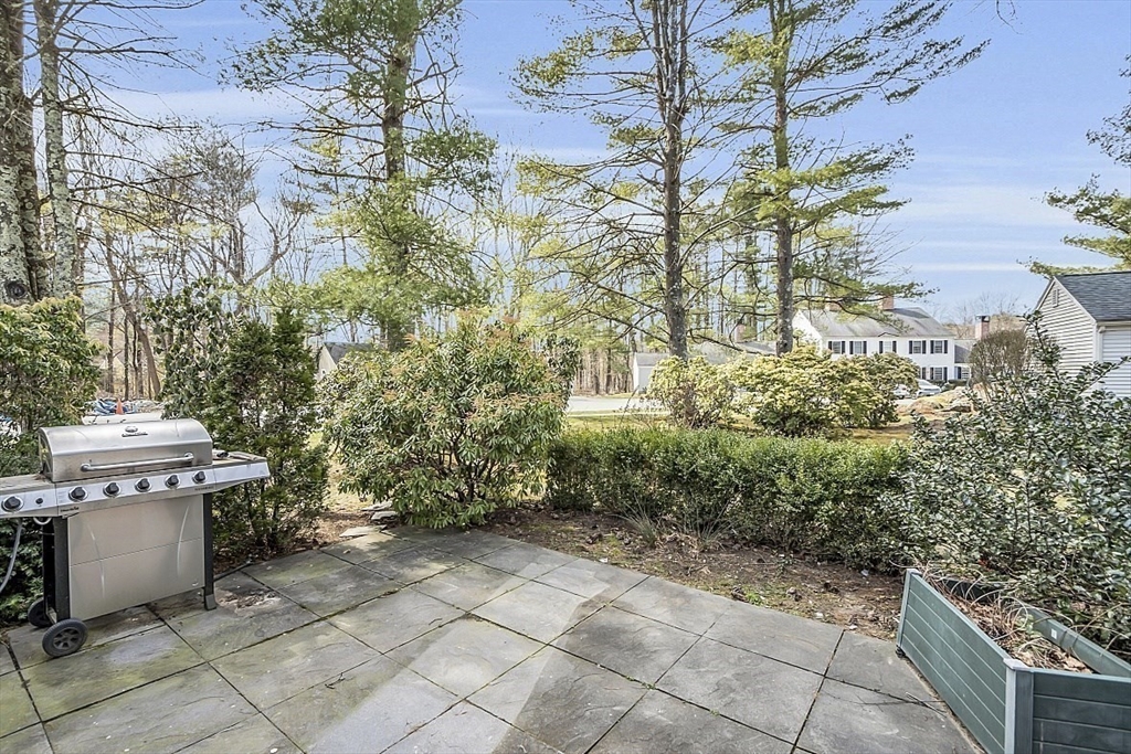 64 Jericho Road, Unit 64 Weston, MA 02493 - Photo 3 of 26 a view of a garden with plants