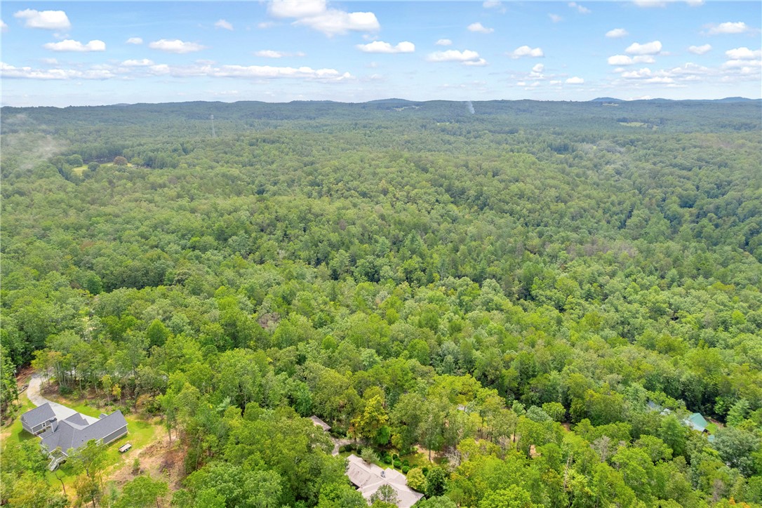 Lot 13 Right Branch Drive Mountain Rest, SC 29664 - Photo 16 of 36