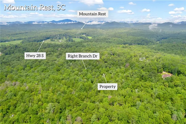 $78,000 | Lot 13 Right Branch Drive, Mountain Rest, SC 29664